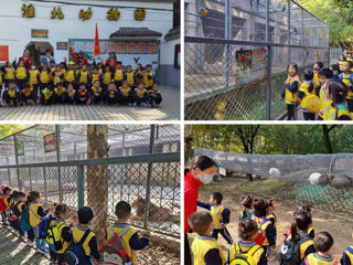 永利官网幼儿园开展“我与动物有个约会”主题秋游活动