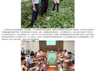 【主题教育】安徽教育网： 走出去 沉下来 yl23455永利官网深入省级科研基地调研