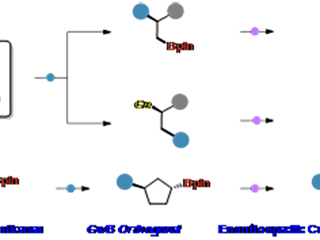 永利官网教育部重点实验室徐梦雨团队在《Angewandte Chemie International Edition》发表高水平研究成果