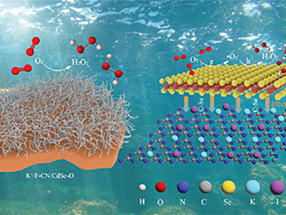 永利官网教育部重点实验室代凯教授团队在《Advanced Functional Materials》发表高水平研究成果