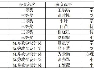 永利官网研究生在2025年“田家炳杯”教育硕士教学技能大赛中获佳绩